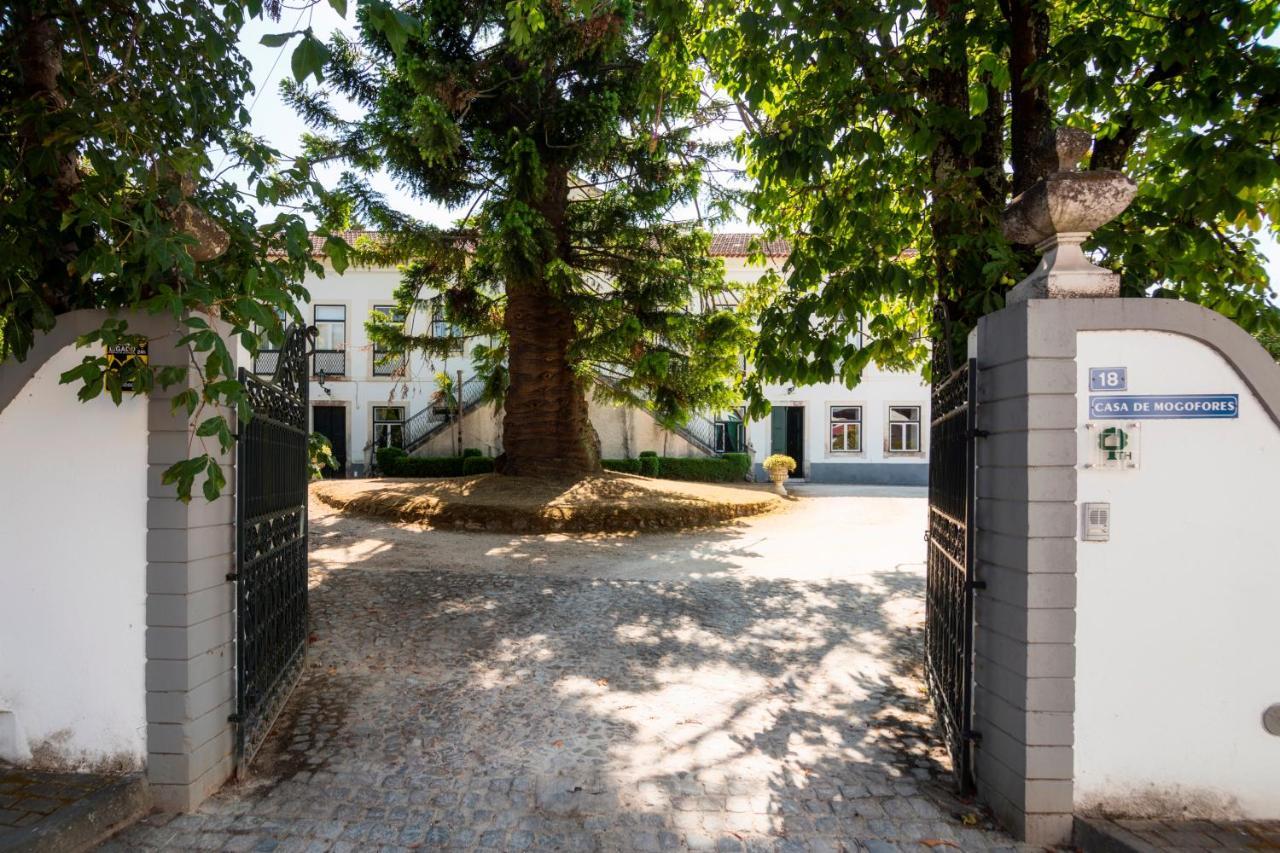 Casa De Mogofores Anadia Exterior photo